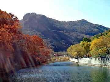 管家婆黑白马报图库，花木兰 小说